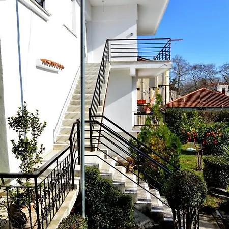 Zeusplace Georgia Blue * ليبتوكاريا